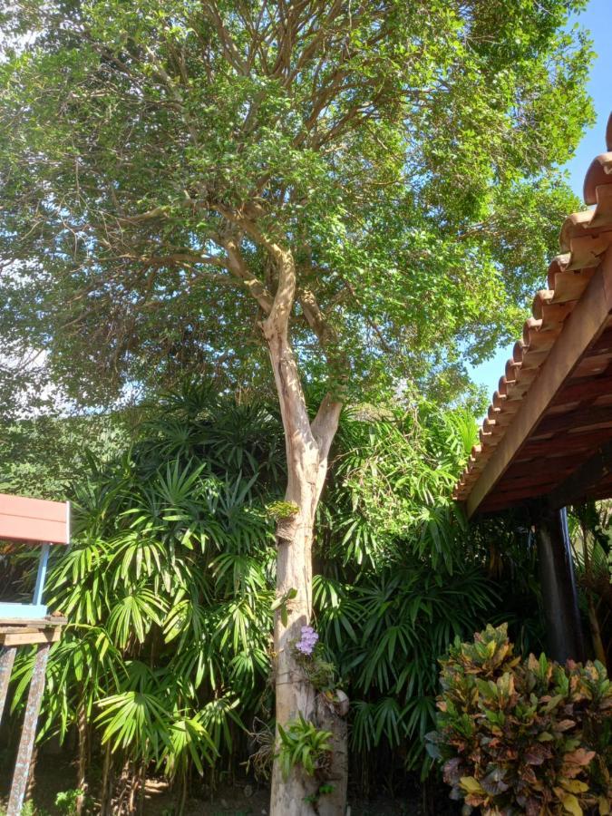 Família Silvia Périco Ilhabela Exterior foto